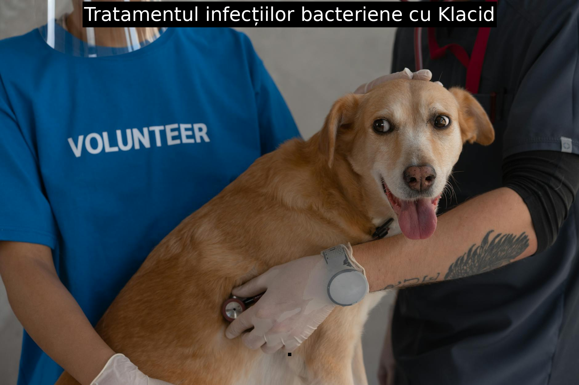 Tratamentul infecțiilor bacteriene cu Klacid